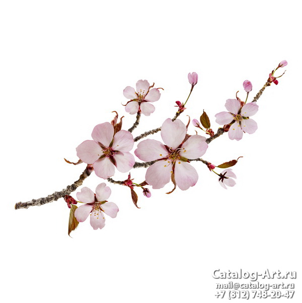 Blossom tree 146